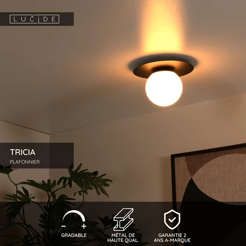 Lucide TRICIA - Plafonnier - Ø 25 cm - 1xE27 - Noir - USP